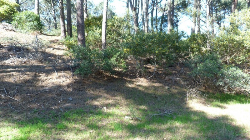 Terreno en una zona muy linda del Club del Lago con 1343 m2